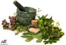 پیشگیری از سرطان با گیاه درمانی در طب سنتی (2 نکته مهم)