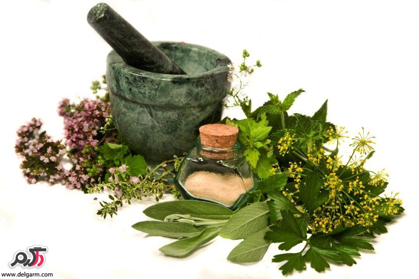 پیشگیری از سرطان با گیاه درمانی در طب سنتی (2 نکته مهم)
