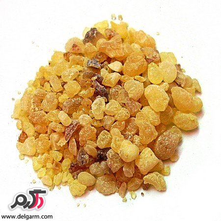 چگونه سرطان را با کندر درمان کنیم؟ (2 نکته مهم) چگونه سرطان را با کندر درمان کنیم؟ (2 نکته مهم)