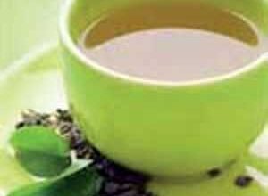 گیاهان انرژی زا  (2 نکته مهم)