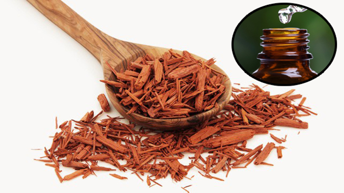 ۳۳ خواص دارویی و درمانی گیاه صندل قرمز (2 نکته مهم) ۳۳ خواص دارویی و درمانی گیاه صندل قرمز (2 نکته مهم)