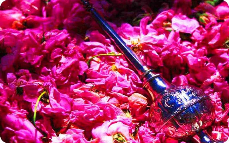 انواع گلاب تولیدی در قمصر