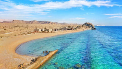 نکات کاربردی برای بازدیدکنندگان