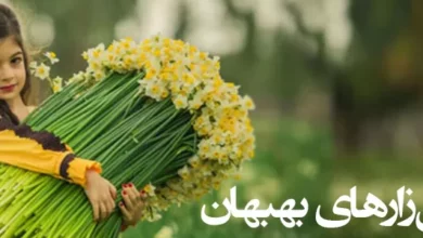 آشنایی با نرگس زارهای بهبهان