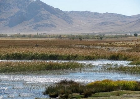 آشنایی با تالاب گندمان