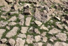 جاده ادویه گذرگاهی مرموز در دل فلات ایران (+ تصاویر)