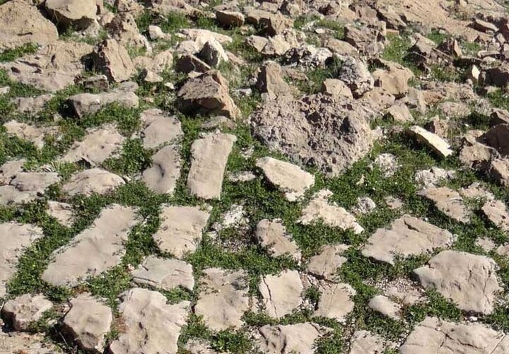 جاده ادویه گذرگاهی مرموز در دل فلات ایران (+ تصاویر) جاده ادویه گذرگاهی مرموز در دل فلات ایران (+ تصاویر)