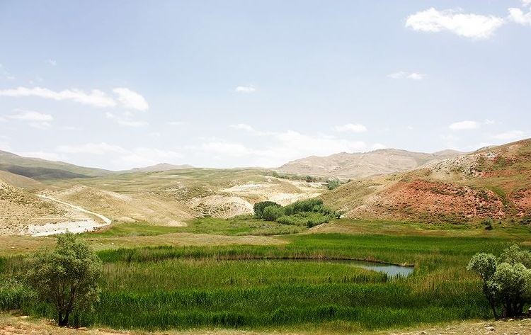 جزیره چمن متحرک