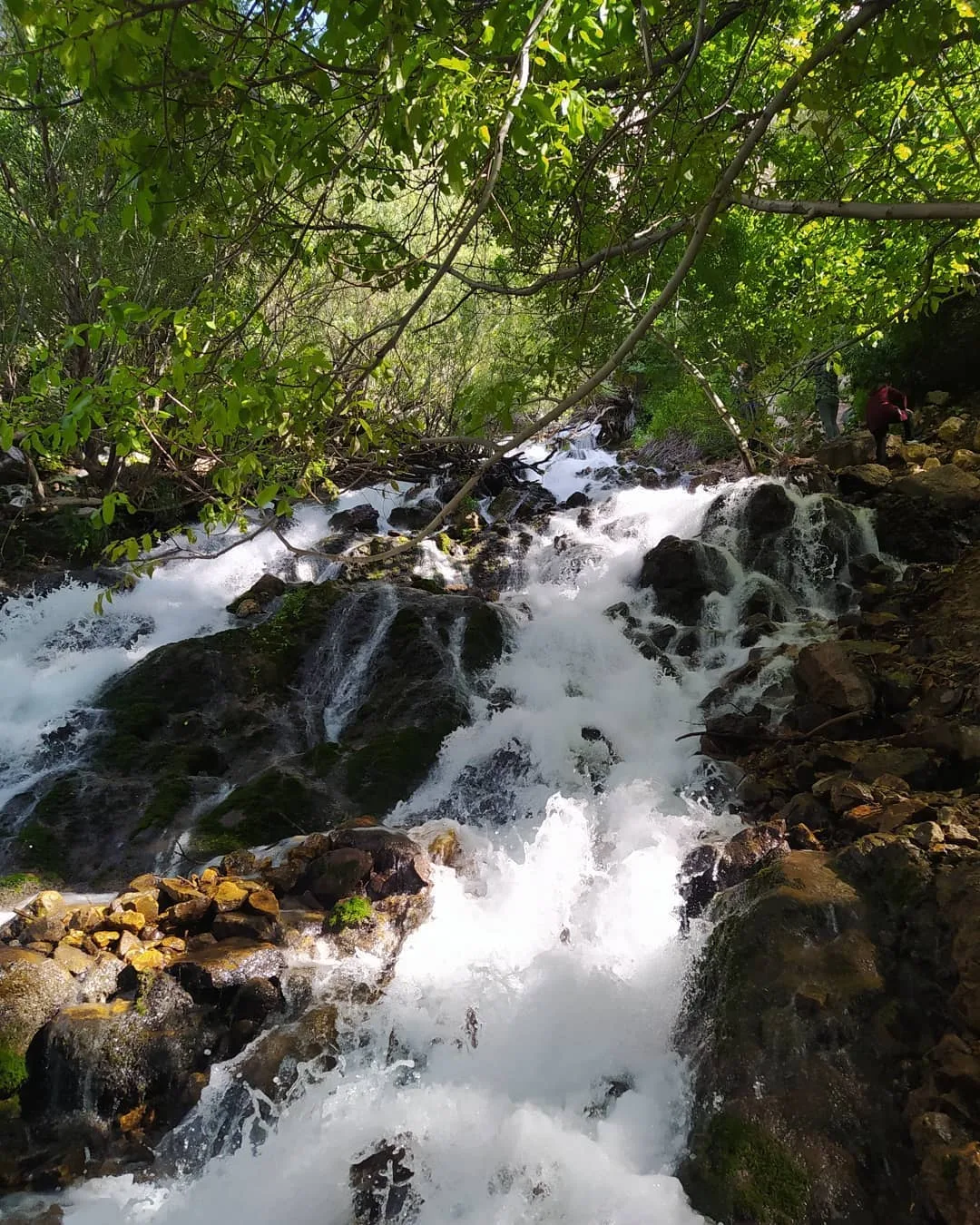 معرفی ۱۵ مکان طبیعی بینظیر برای سیزده بدر در مشهد (+ تصاویر) معرفی ۱۵ مکان طبیعی بینظیر برای سیزده بدر در مشهد (+ تصاویر)