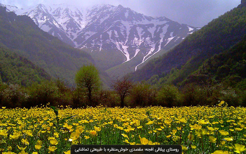 دیدنی&zwnj;های تاریخی افجه