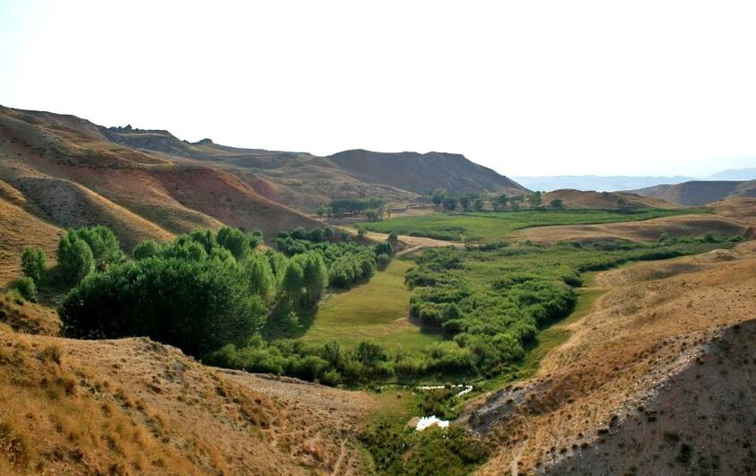 جزیره چمن متحرک