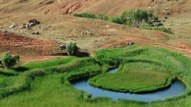 معرفی تالاب چملی در آذربایجان غربی