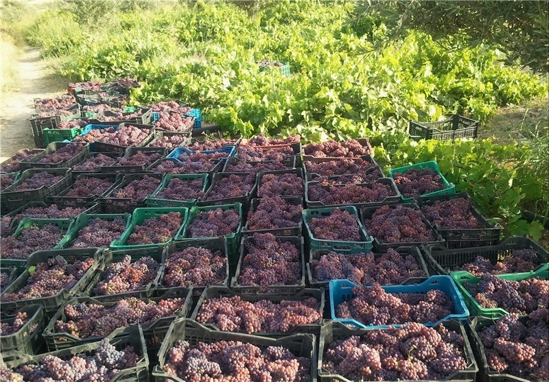 سوغات استان آذربایجان غربی (+ تصاویر)