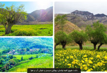 آخرین ماه تابستان یک پیشنهاد کم هزینه برای مسافرت (+ تصاویر)