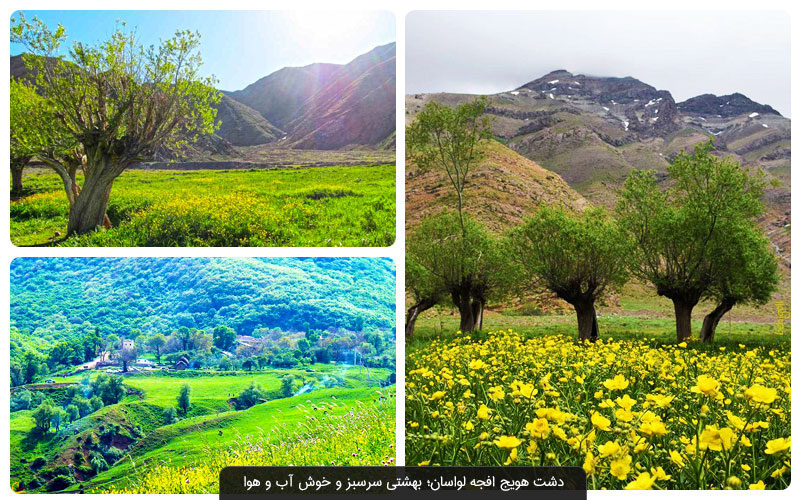 تاریخچه پنهان در کوچه‌باغ‌های افجه: از شکارگاه شاهی تا مرکز لواسان