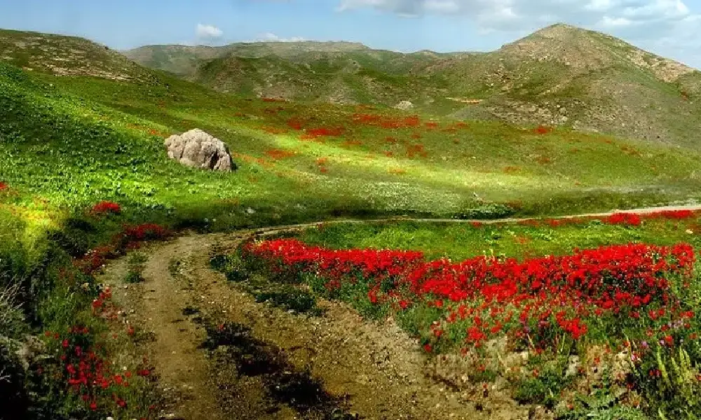 معرفی ۱۵ مکان طبیعی بینظیر برای سیزده بدر در مشهد (+ تصاویر) معرفی ۱۵ مکان طبیعی بینظیر برای سیزده بدر در مشهد (+ تصاویر)