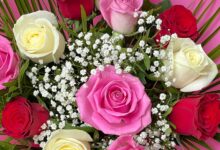گل‌،هدیه ای از بهشت (2 نکته مهم)