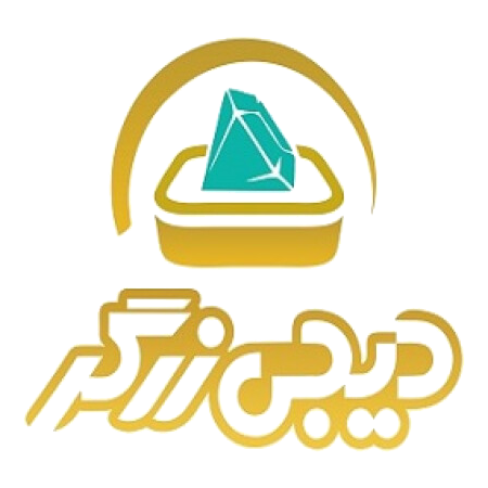 سئو دیجی زرگر توسط تیم رضیم در کرمان
