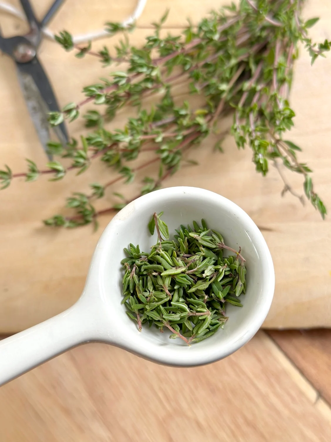 thyme
