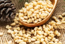 خواص چلغوز برای زنان: از سلامت هورمونی تا پوست و زیبایی
