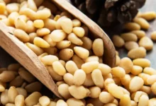 خواص چلغوز: گنجینه‌ای مغذی برای سلامتی