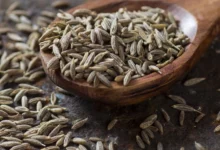 خواص رازیانه برای رحم و تخمدان: بررسی علمی فواید، عوارض و نحوه مصرف