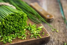 خواص شگفت‌انگیز تره: راهنمای جامع فواید، ارزش غذایی و نکات ایمنی