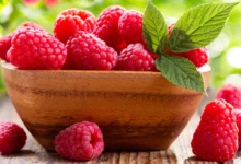 خواص و عوارض تمشک؛ جواهری کوچک با فواید بزرگ