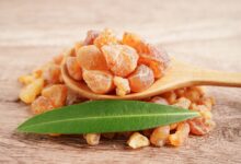 خواص کندر برای مردان: بررسی علمی فواید، نحوه مصرف و عوارض احتمالی
