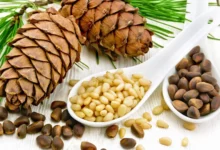خواص چلغوز برای مردان: از تقویت باروری تا سلامت قلب