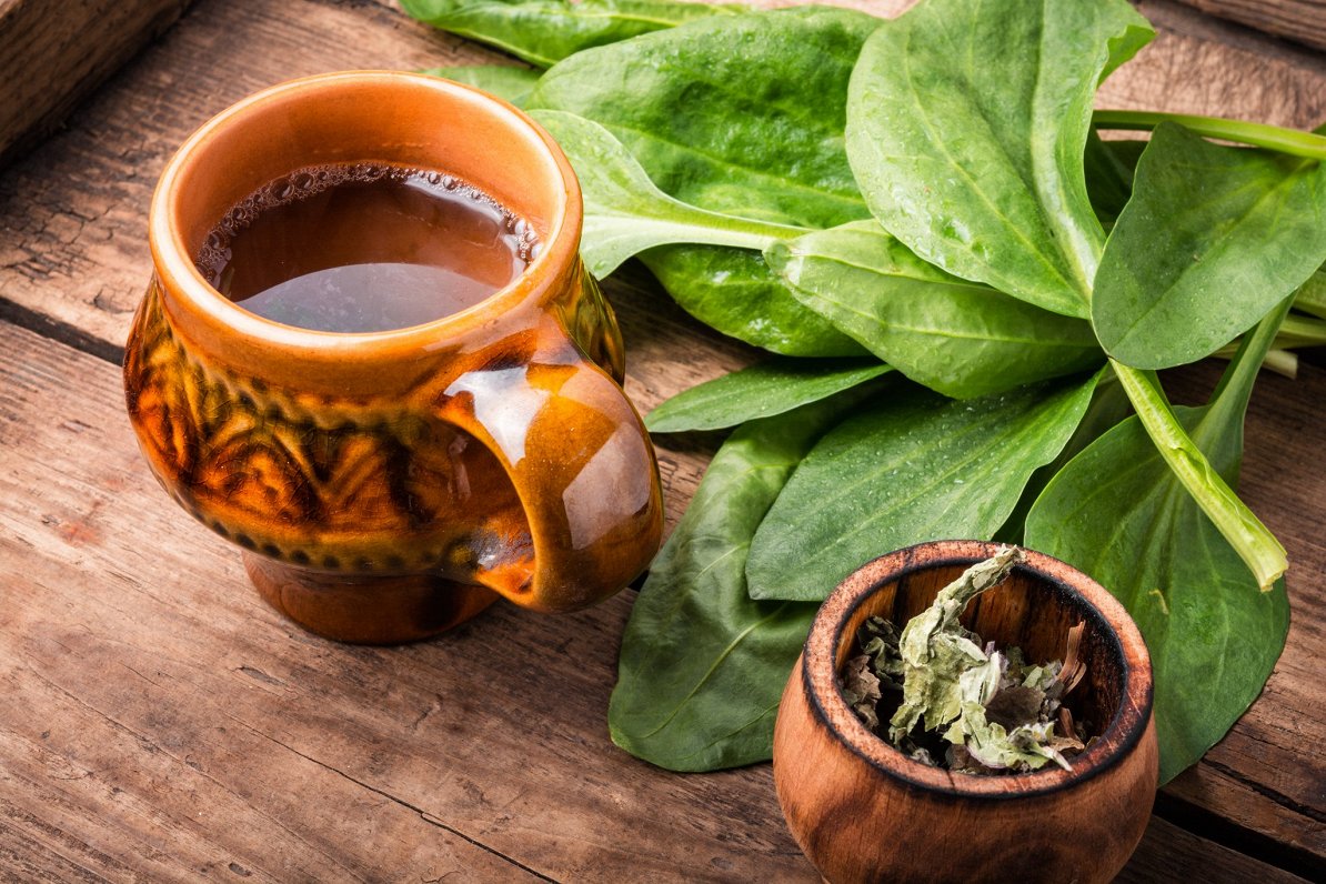 خواص بارهنگ و عرق نعناع: راهنمای جامع علمی و کاربردی