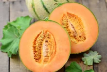 خواص طالبی برای مردان: فواید علمی و نکات مصرف