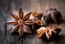 خواص شگفت‌انگیز بادیان ستاره‌ای: راهنمای جامع