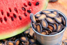 خواص تخمه هندوانه: راهنمای جامع و علمی برای سلامتی