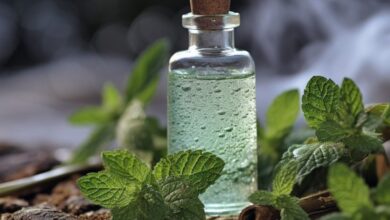 خواص عرق نعنا برای رحم: بررسی شواهد علمی و نگاهی به طب سنتی