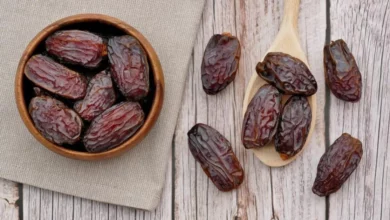 خواص هسته خرما برای مو: آیا این گنجینه طبیعی به سلامت موهای شما کمک می‌کند؟