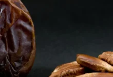 هسته خرما و سلامت اسپرم: بررسی جامع خواص، فواید و نکات احتیاطی