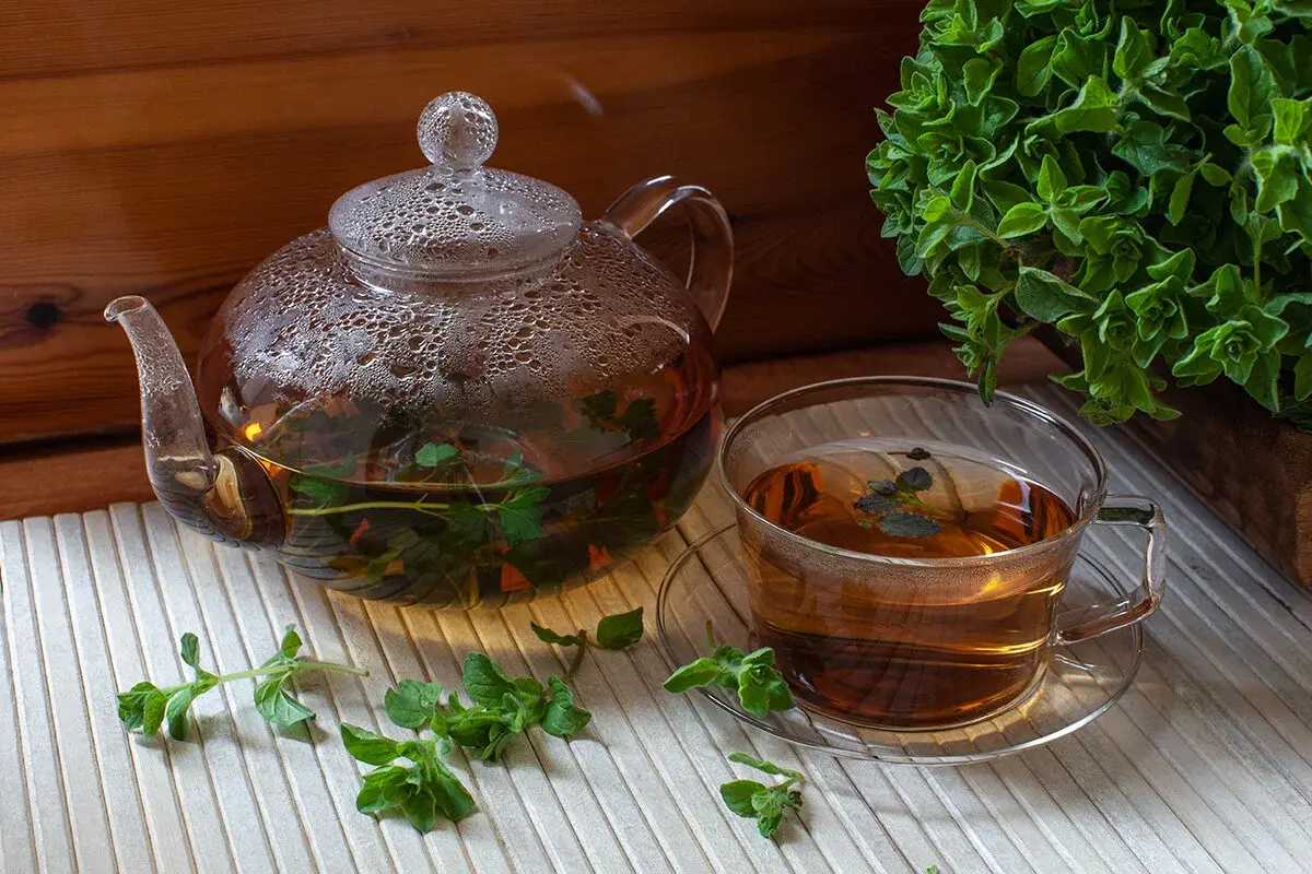 خواص دمنوش پونه برای زنان؛ بررسی علمی فواید، عوارض و نکات مصرف