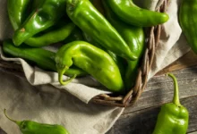 فلفل سبز تند برای مو: راهنمای کامل فواید، عوارض و نحوه استفاده