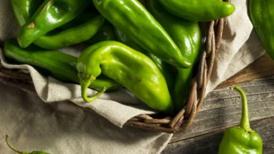 فلفل سبز تند برای مو: راهنمای کامل فواید، عوارض و نحوه استفاده