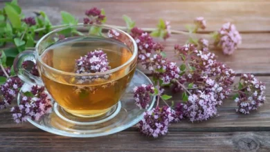 دمنوش پونه و عفونت رحم: آیا یک درمان گیاهی مؤثر است یا یک خطر پنهان؟