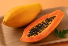 خواص پاپایا در بارداری: فواید، خطرات و راهنمای مصرف ایمن
