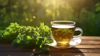دمنوش پونه و سلامت کلیه: فواید، خطرات و آنچه باید بدانید