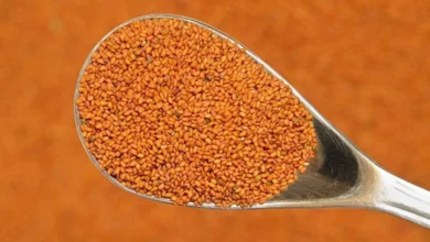 خاکشیر و کیست تخمدان: آیا این دانه کوچک یک راهکار درمانی است؟