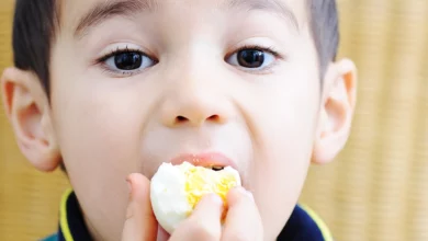تخم مرغ آب پز برای کودکان: گنجینه‌ای از فواید برای رشد مغز و جسمانی