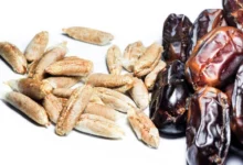 خواص هسته خرما برای پوکی استخوان: بررسی علمی و نکات کاربردی