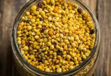 بررسی علمی خواص گرده گل برای اسپرم: آیا این مکمل به باروری مردان کمک می‌کند؟