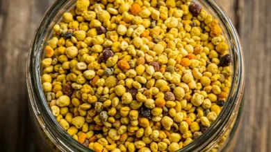بررسی علمی خواص گرده گل برای اسپرم: آیا این مکمل به باروری مردان کمک می‌کند؟