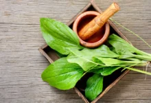 خواص بارهنگ برای یبوست: بررسی علمی، نحوه مصرف و عوارض جانبی احتمالی