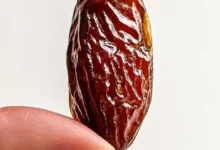 هسته خرما و سلامت کبد؛ شگفتی نهفته در دل طبیعت